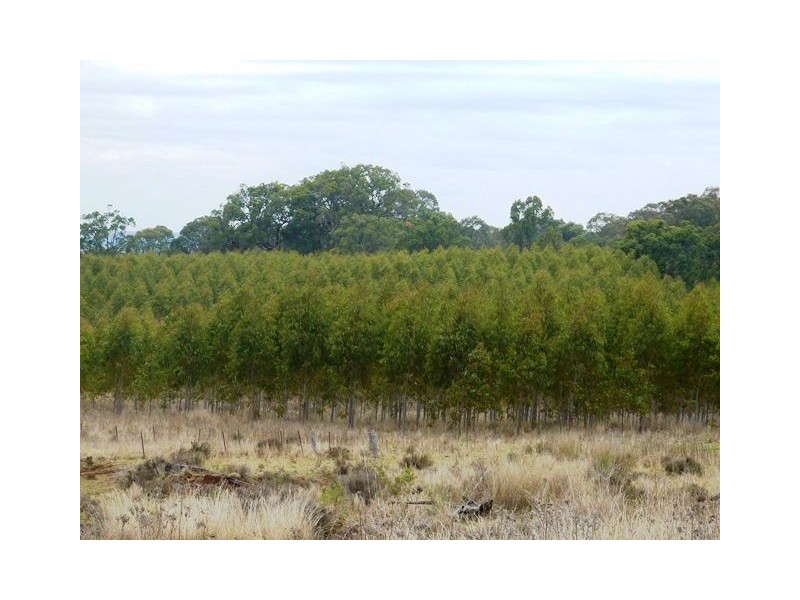 ” TARRANGOWER”, Inverell NSW 2360