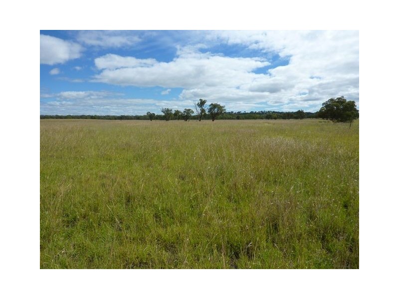 ” LYNDEN EAST”, Inverell NSW 2360