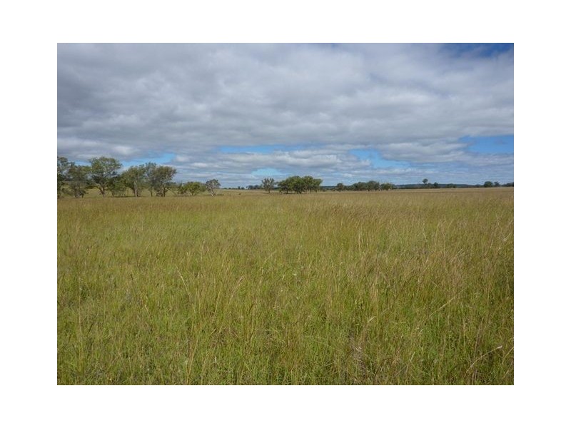 ” LYNDEN EAST”, Inverell NSW 2360