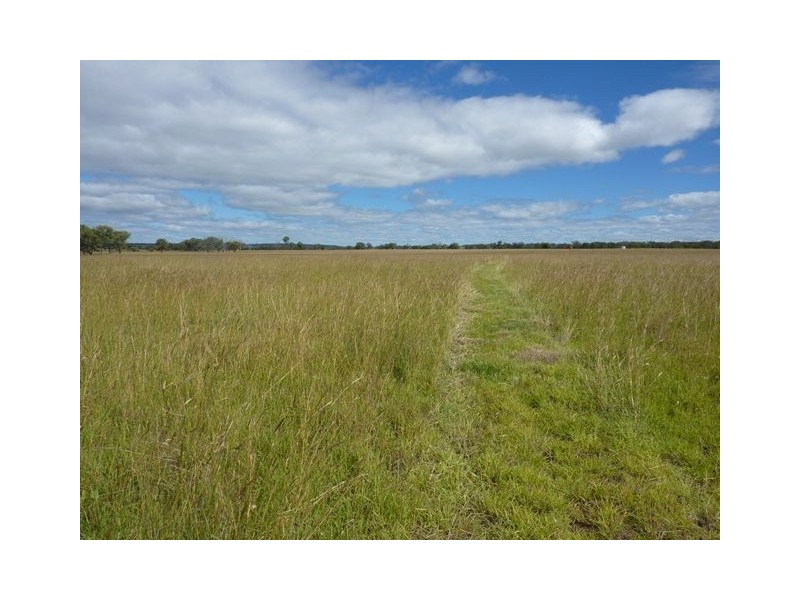 ” LYNDEN EAST”, Inverell NSW 2360