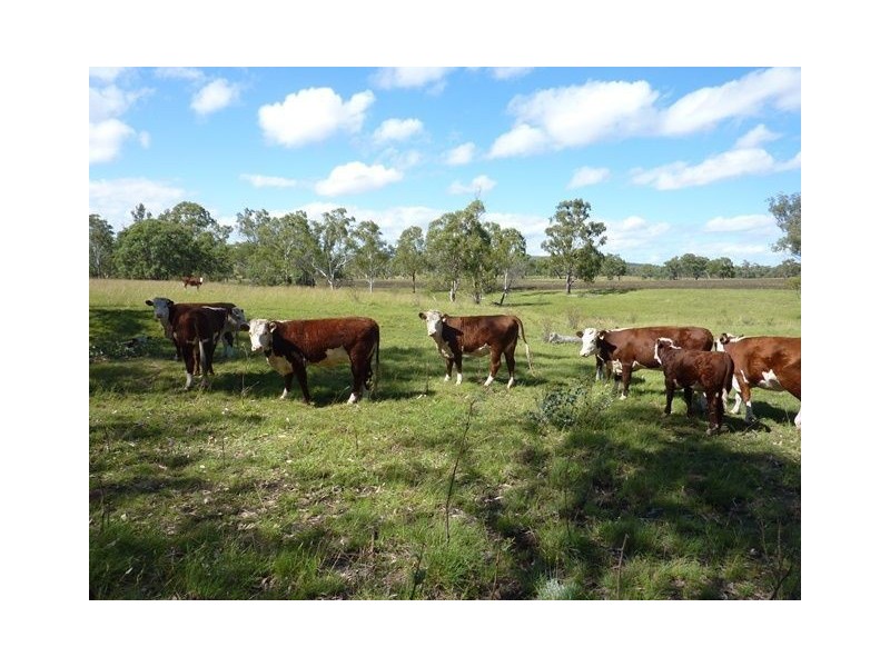 ” CLIFTON”, Inverell NSW 2360