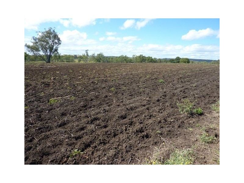 ” CLIFTON”, Inverell NSW 2360