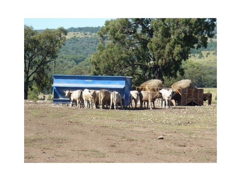 ” BONNIE DOON”, Inverell NSW 2360
