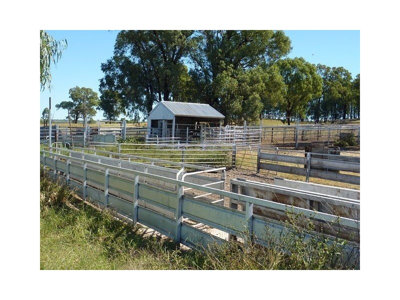 ” BONNIE DOON”, Inverell NSW 2360