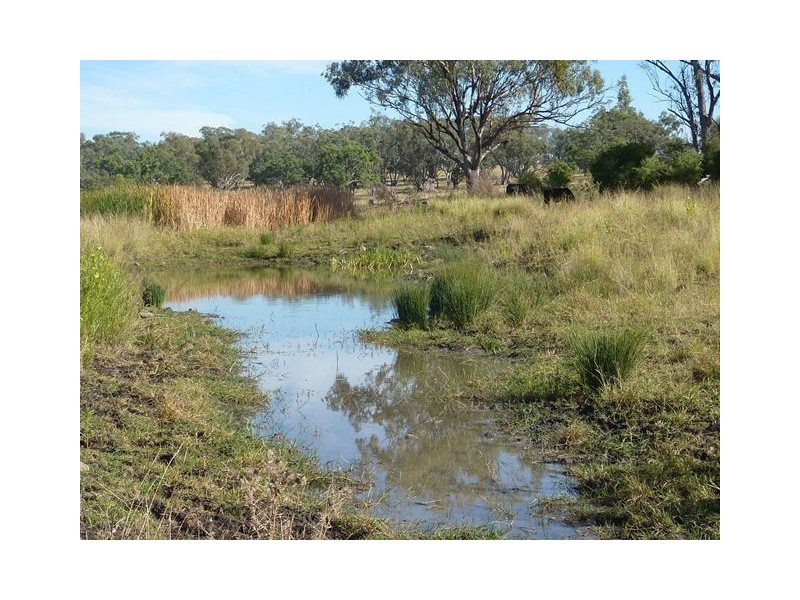 ” ARDROY”, Inverell NSW 2360