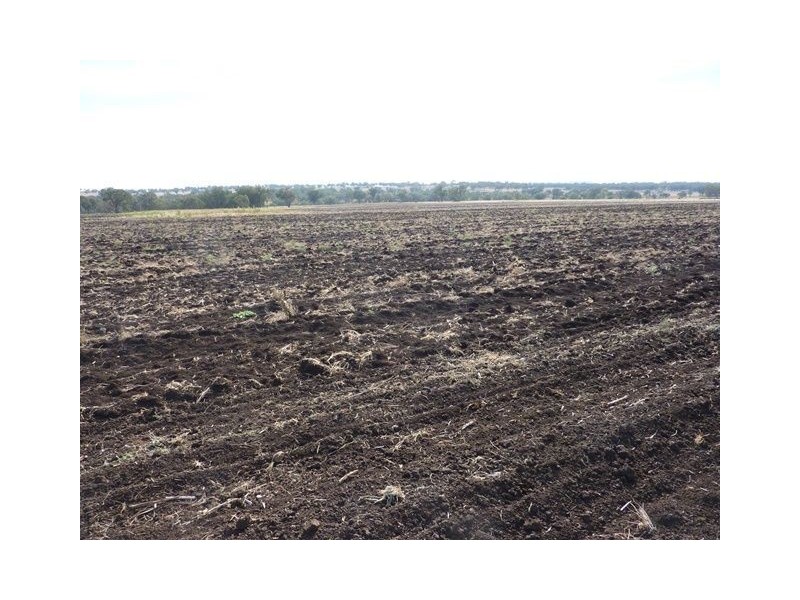 ” ARDROY”, Inverell NSW 2360