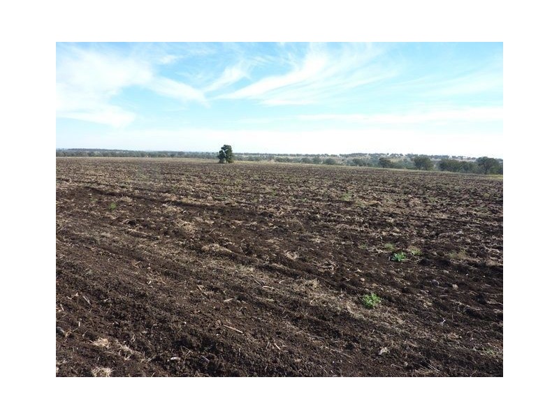 ” ARDROY”, Inverell NSW 2360