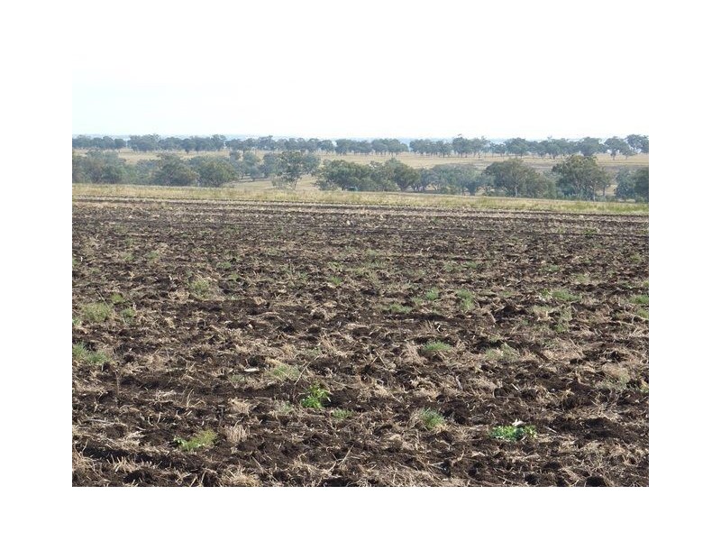 ” ARDROY”, Inverell NSW 2360