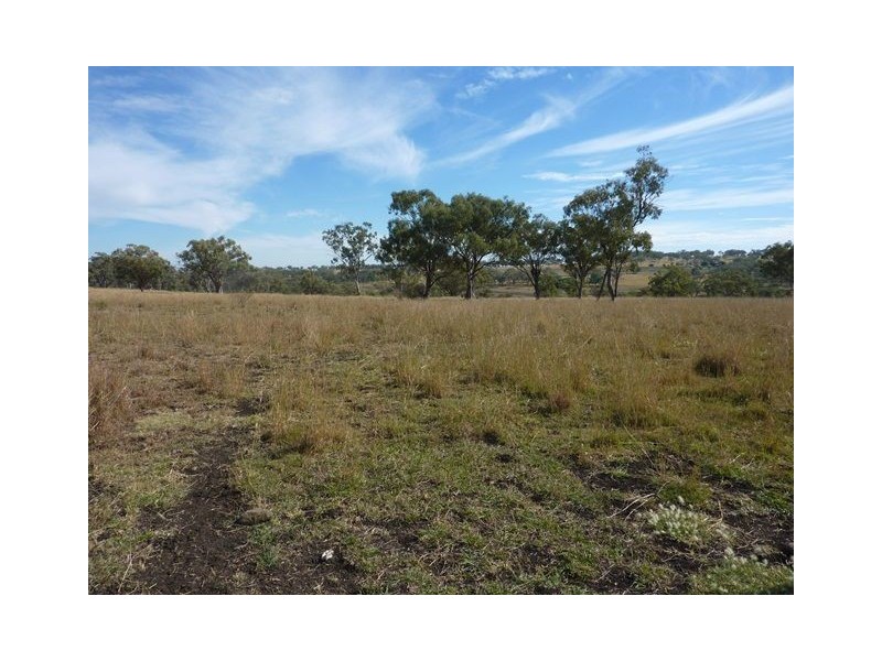 ” ARDROY”, Inverell NSW 2360