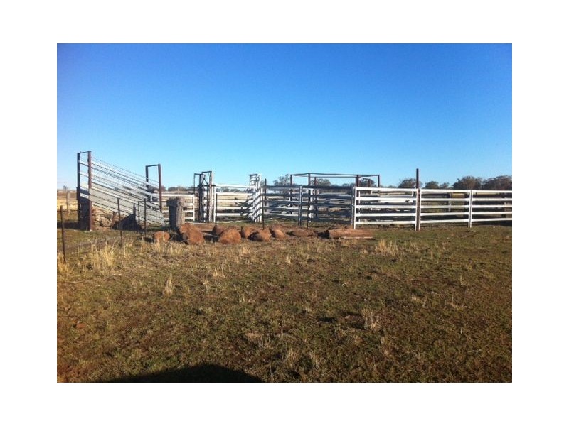 ” ARDROY”, Inverell NSW 2360