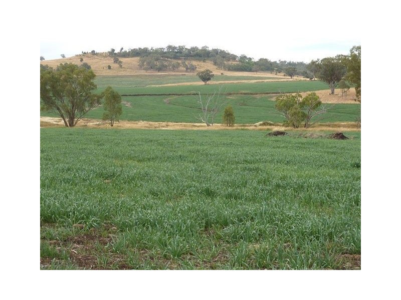 ” KURRAJONG HEIGHTS”, Inverell NSW 2360