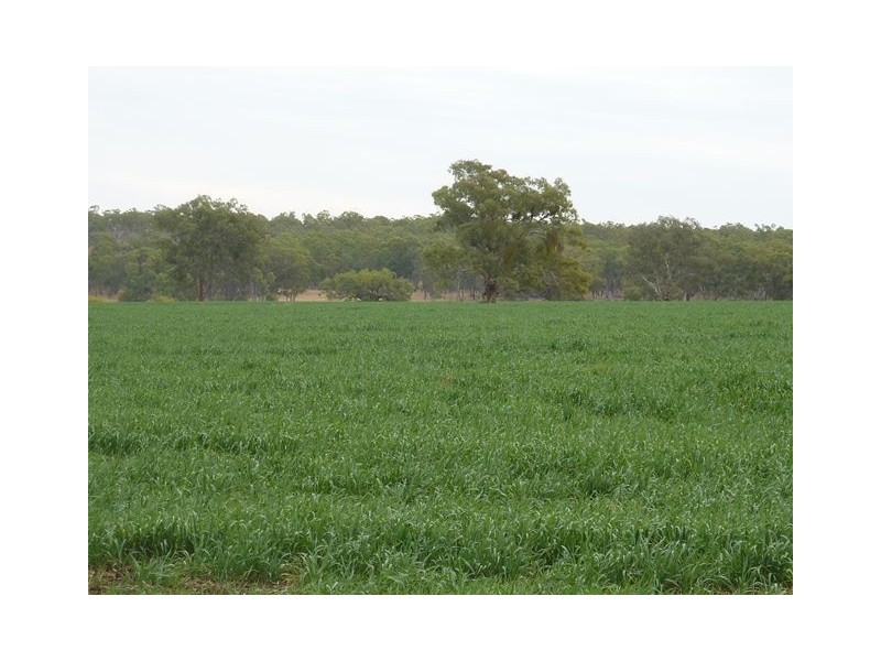 ” KURRAJONG HEIGHTS”, Inverell NSW 2360