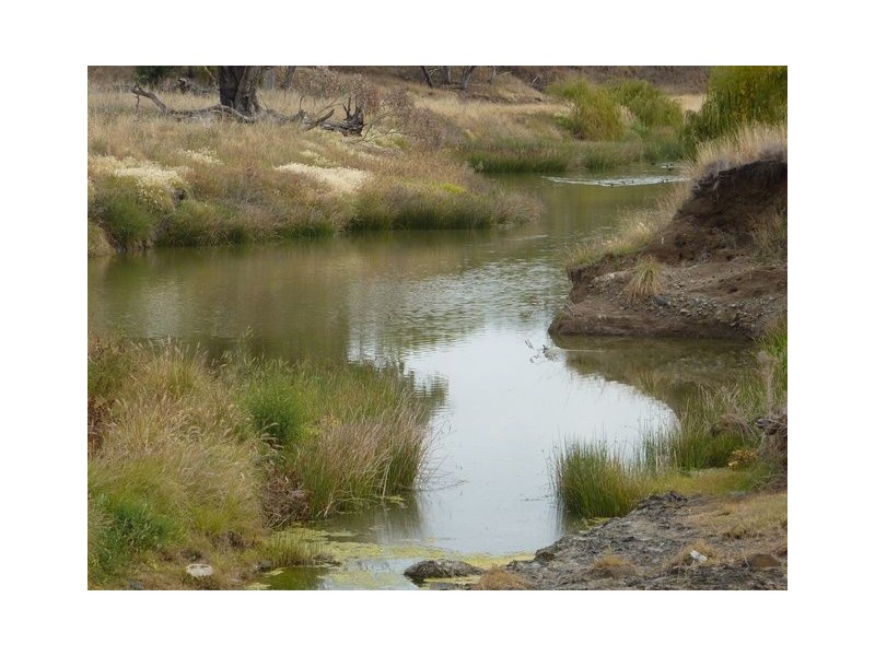 ” KURRAJONG HEIGHTS”, Inverell NSW 2360