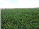 1082 Agincourt Road “WESTHOLME”, Warialda NSW 2402