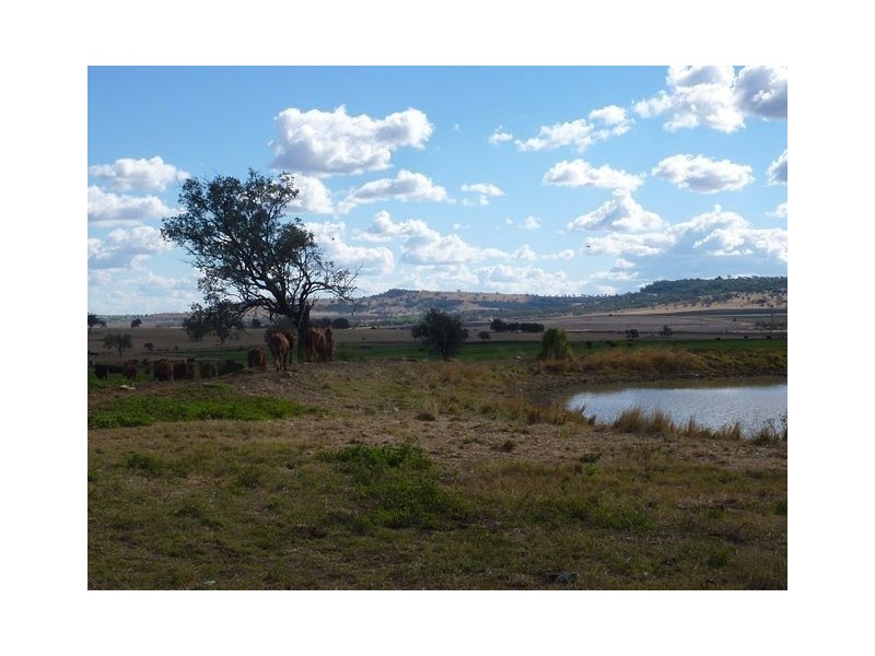 1082 Agincourt Road “WESTHOLME”, Warialda NSW 2402