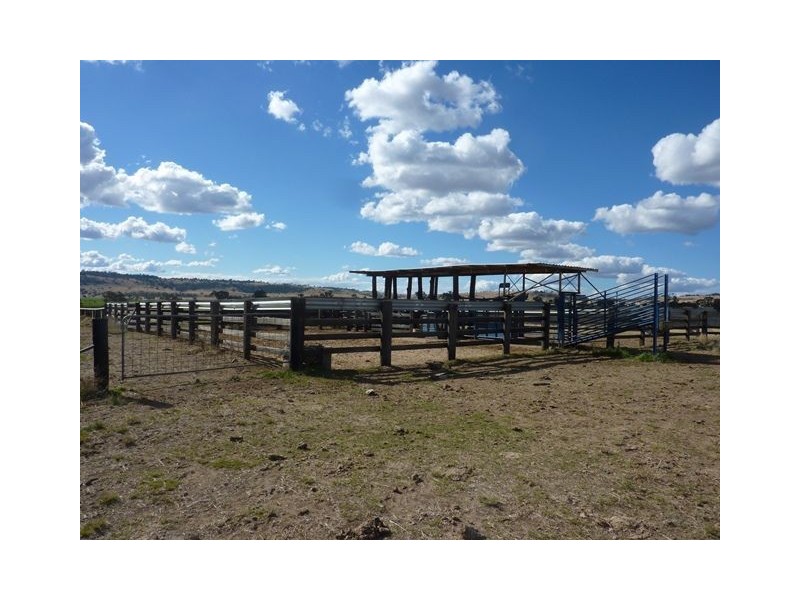 1082 Agincourt Road “WESTHOLME”, Warialda NSW 2402