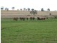 1082 Agincourt Road “WESTHOLME”, Warialda NSW 2402