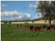 1082 Agincourt Road “WESTHOLME”, Warialda NSW 2402