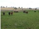 1082 Agincourt Road “WESTHOLME”, Warialda NSW 2402