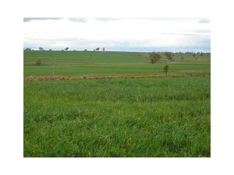 ” BURMAH”, Inverell NSW 2360