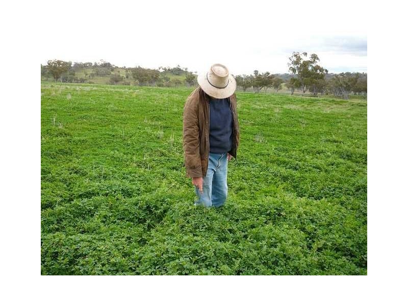 ” BURMAH”, Inverell NSW 2360