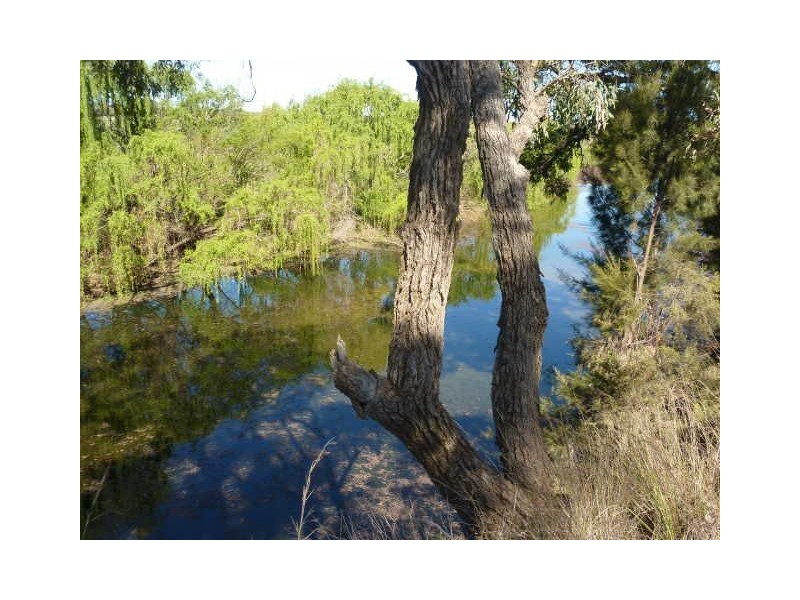 651 Karoola Road “KAROOLA”, Inverell NSW 2360