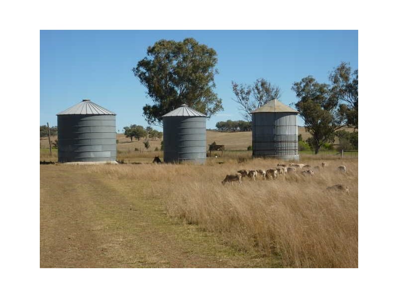 651 Karoola Road “KAROOLA”, Inverell NSW 2360