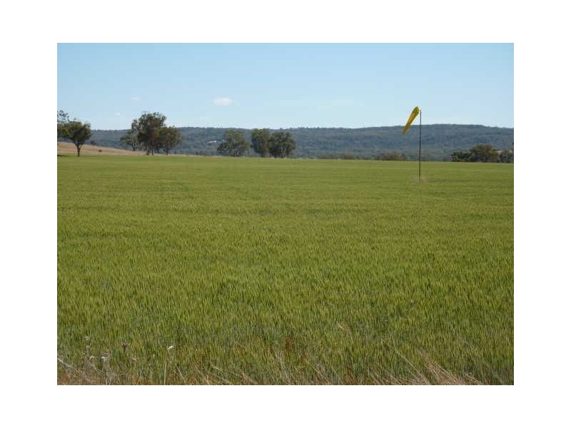 651 Karoola Road “KAROOLA”, Inverell NSW 2360