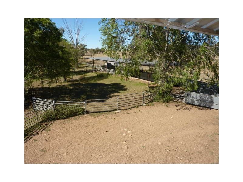 651 Karoola Road “KAROOLA”, Inverell NSW 2360