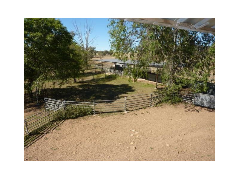 651 Karoola Road “KAROOLA”, Inverell NSW 2360