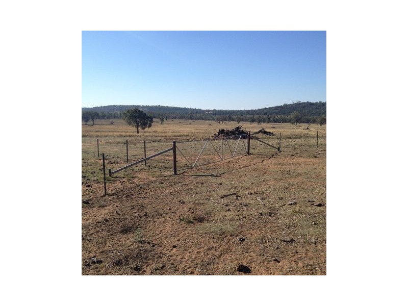 ” REDAM”, Warialda NSW 2402