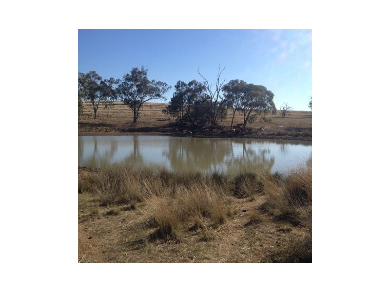 ” REDAM”, Warialda NSW 2402