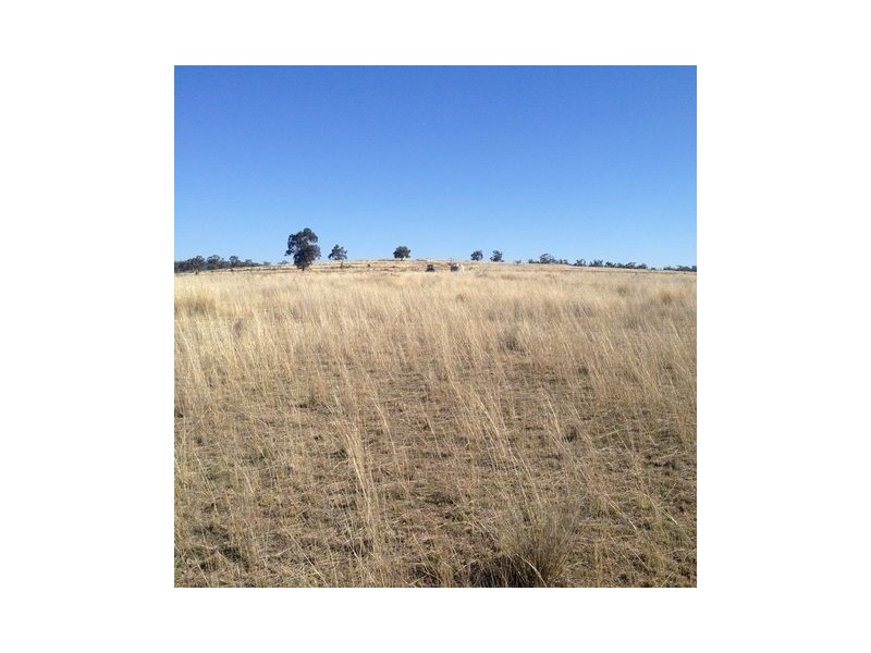 ” REDAM”, Warialda NSW 2402