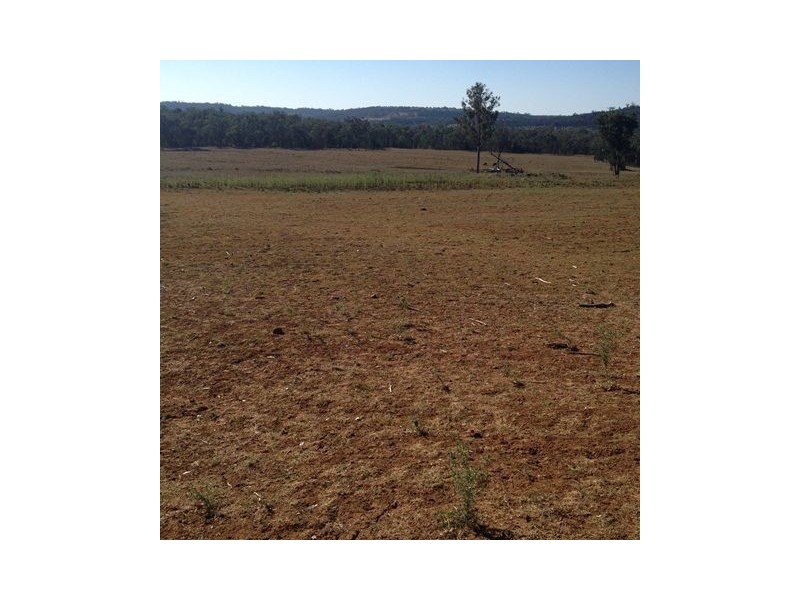 ” REDAM”, Warialda NSW 2402