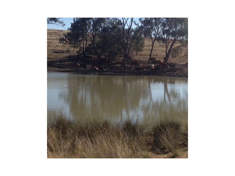 ” REDAM”, Warialda NSW 2402