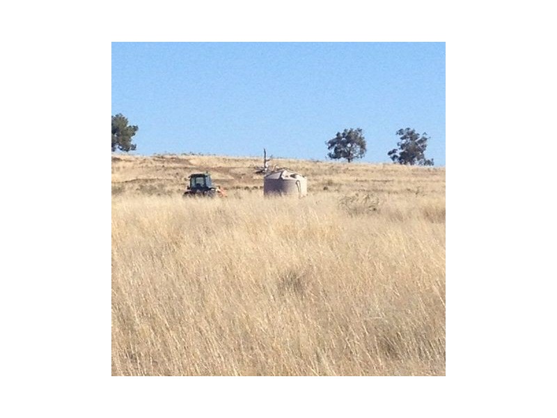 ” REDAM”, Warialda NSW 2402