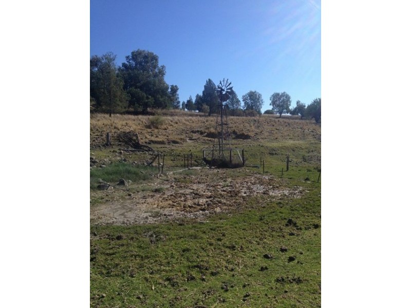 ” REDAM”, Warialda NSW 2402