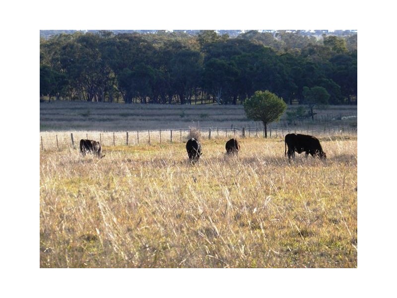 158 Lamonts Lane “GLEN OSWALD”, Inverell NSW 2360