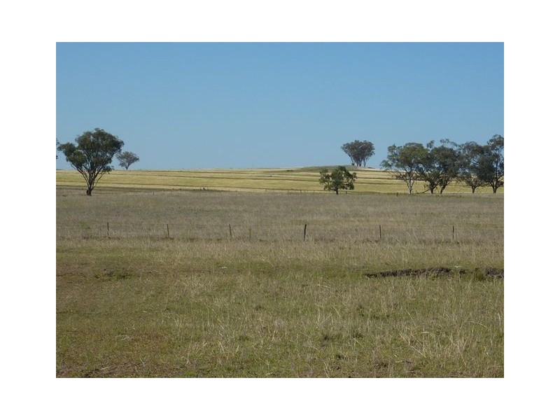 131 Waddells Lane ‘KEMPTON PARK’, Inverell NSW 2360