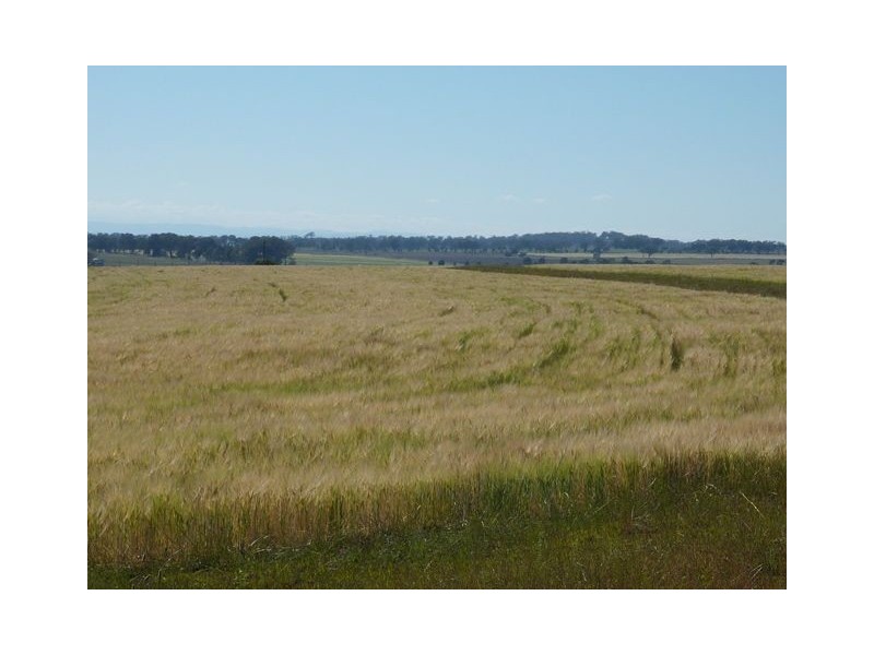 131 Waddells Lane ‘KEMPTON PARK’, Inverell NSW 2360