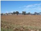 1653 Woodstock Road “ROCKLEIGH STATION”, Inverell NSW 2360