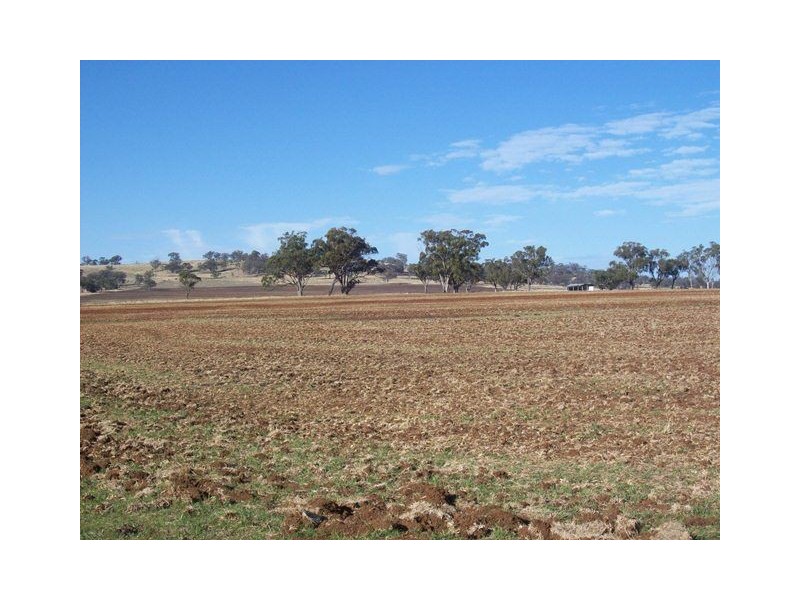 1653 Woodstock Road “ROCKLEIGH STATION”, Inverell NSW 2360