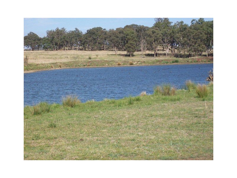 1653 Woodstock Road “ROCKLEIGH STATION”, Inverell NSW 2360