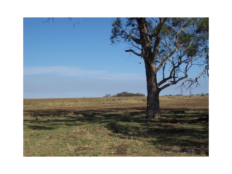 1653 Woodstock Road “ROCKLEIGH STATION”, Inverell NSW 2360