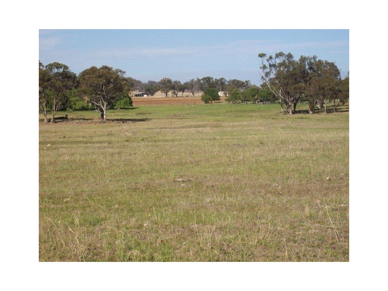 1653 Woodstock Road “ROCKLEIGH STATION”, Inverell NSW 2360