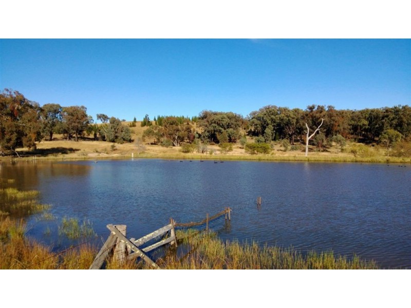 2161 Nullamanna Road “WATTA VIEW”, Inverell NSW 2360