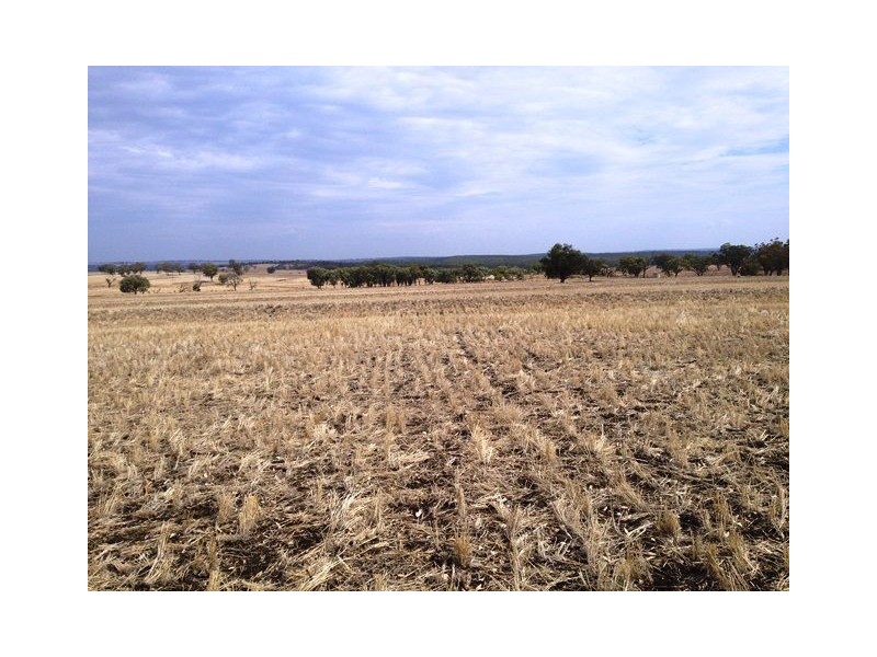 1485 Gragin Road, GRAGIN PEAK AGGREGATION, Delungra NSW 2403