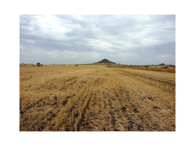 1485 Gragin Road, GRAGIN PEAK AGGREGATION, Delungra NSW 2403