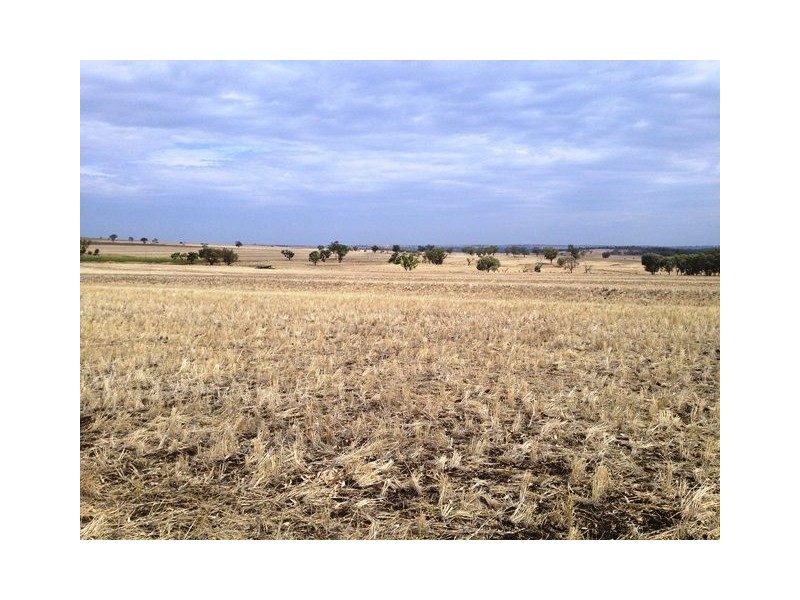 1485 Gragin Road, GRAGIN PEAK AGGREGATION, Delungra NSW 2403