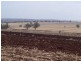 1485 Gragin Road, THE PEAK, Delungra NSW 2403